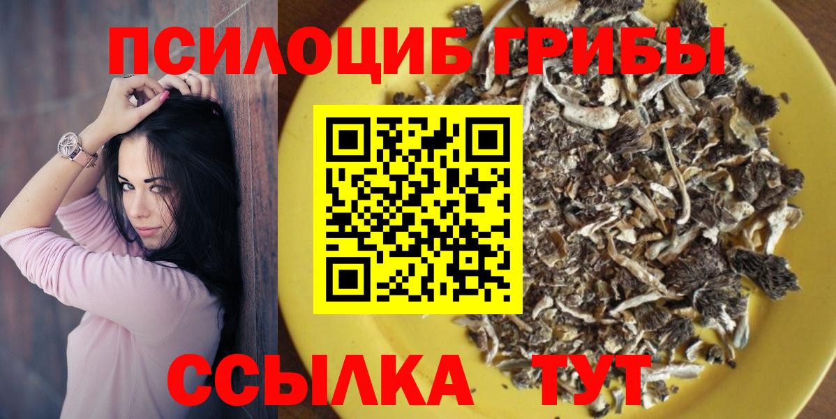 цена наркотик  Псилоцибиновые грибы мухоморы  Вход с VPN  Татарск 