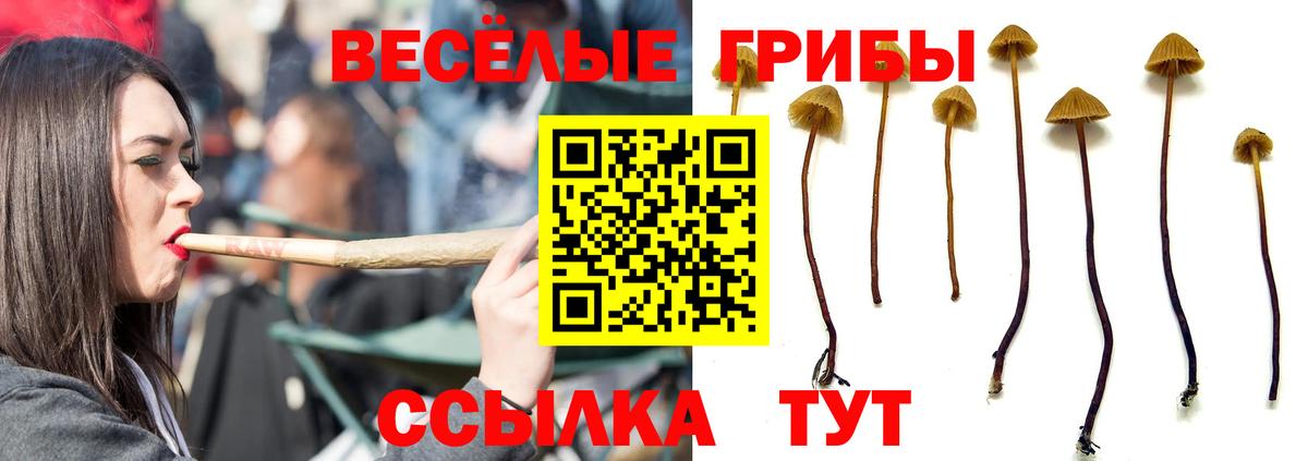 Псилоцибиновые грибы Magic Shrooms Татарск